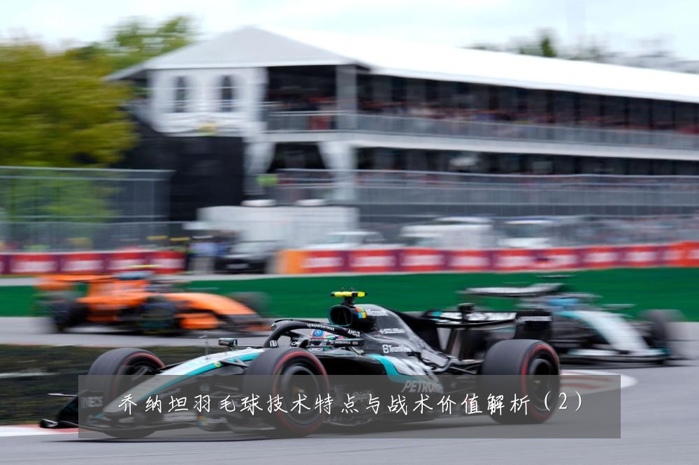 乔纳坦羽毛球技术特点与战术价值解析（2）